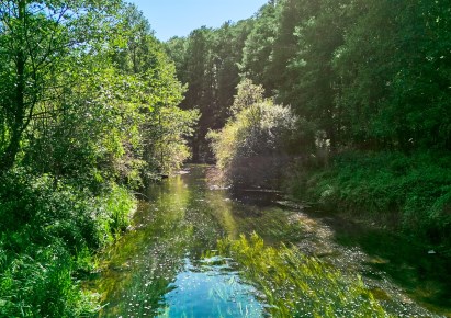 działka na sprzedaż - Szydłowo (gw), Zabrodzie